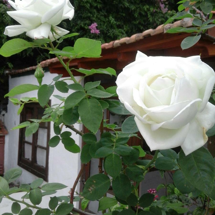 Casa Roberta Villa Monte de Brena Eksteriør bilde